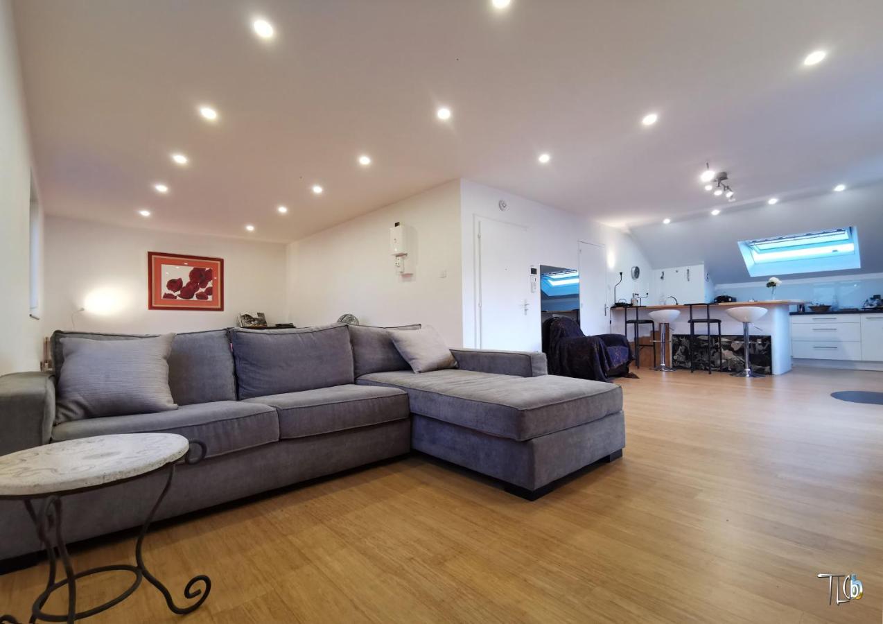 "Le Loft B Bg " Appartement Avec Terrasse G Friendly Strasbourg Ngoại thất bức ảnh