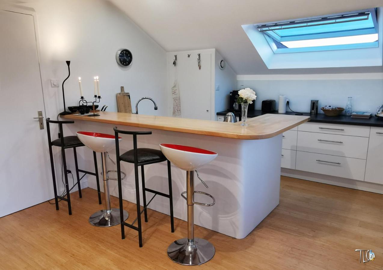 "Le Loft B Bg " Appartement Avec Terrasse G Friendly Strasbourg Ngoại thất bức ảnh