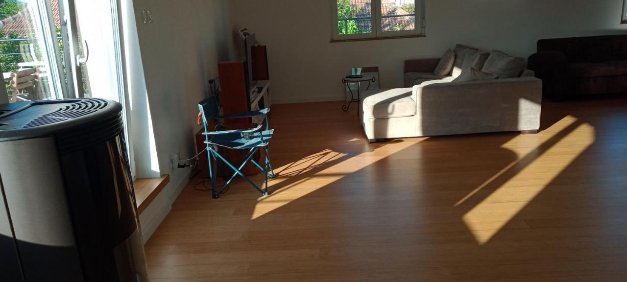 "Le Loft B Bg " Appartement Avec Terrasse G Friendly Strasbourg Ngoại thất bức ảnh